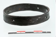 Foto von Eisenbandring (NHMW-PRAE-025171)